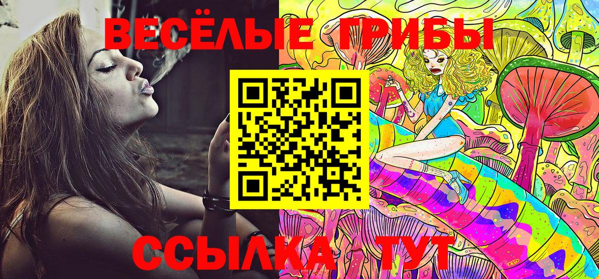 COCAIN Кудымкар
