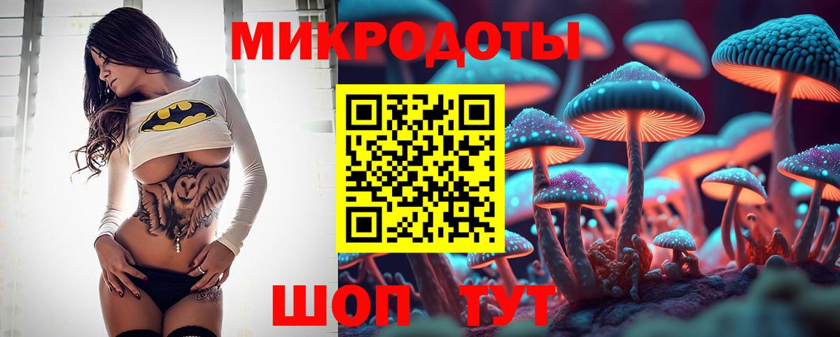 Кудымкар  Псилоцибиновые грибы Cubensis  Вход с VPN 
